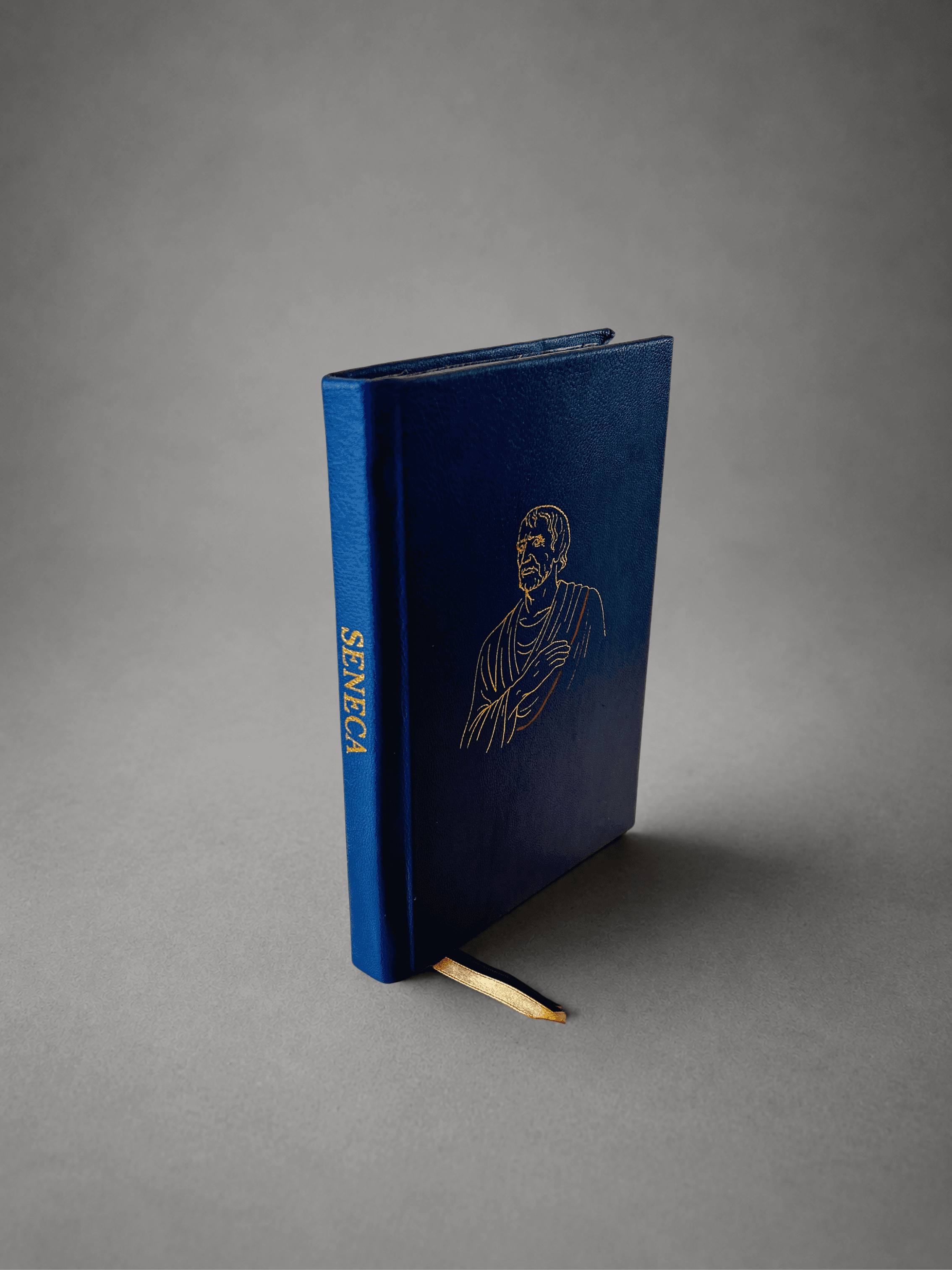 Seneca rebound in blue leather